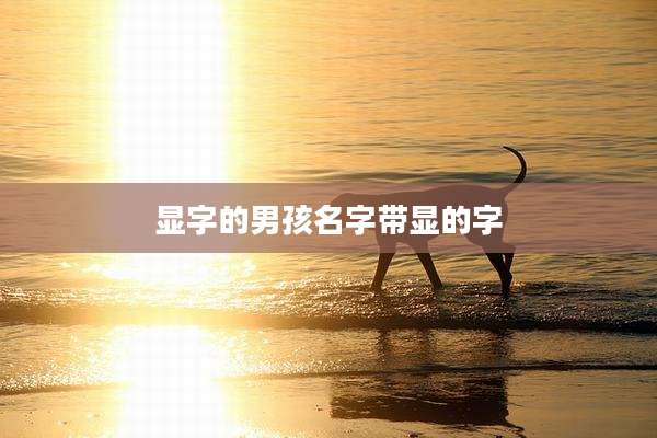 显字的男孩名字带显的字