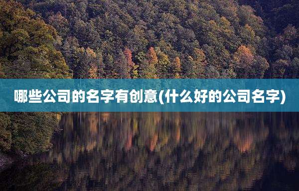 哪些公司的名字有创意(什么好的公司名字)