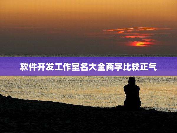 软件开发工作室名大全两字比较正气