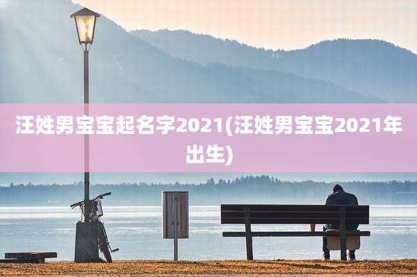 汪姓男宝宝起名字2021(汪姓男宝宝2021年出生)