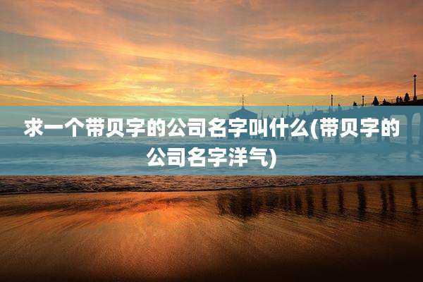 求一个带贝字的公司名字叫什么(带贝字的公司名字洋气)