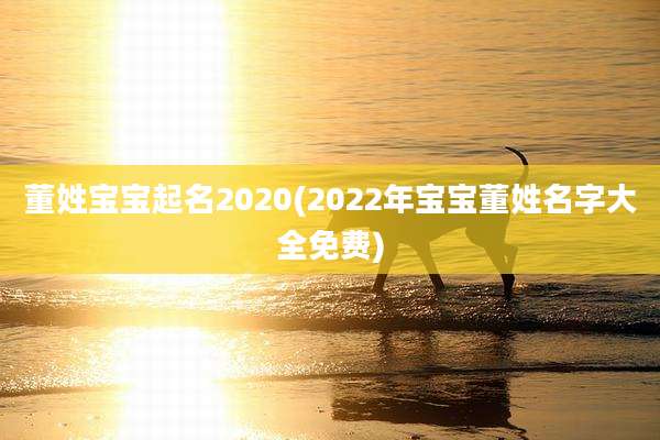 董姓宝宝起名2020(2022年宝宝董姓名字大全免费)