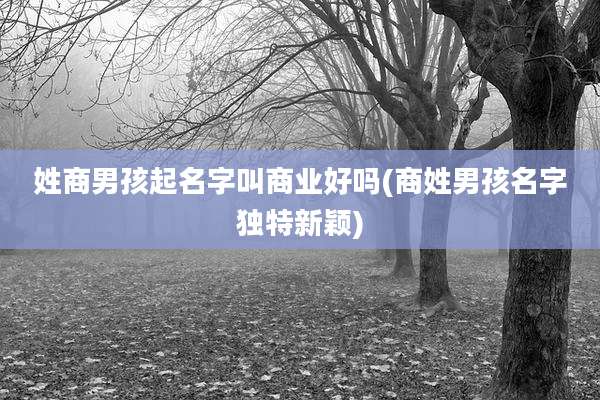 姓商男孩起名字叫商业好吗(商姓男孩名字独特新颖)