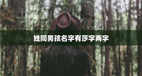 姓同男孩名字有莎字两字