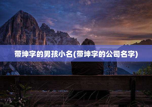 带坤字的男孩小名(带坤字的公司名字)