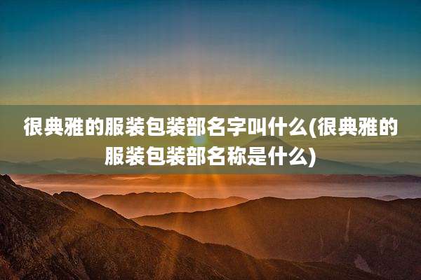 很典雅的服装包装部名字叫什么(很典雅的服装包装部名称是什么)