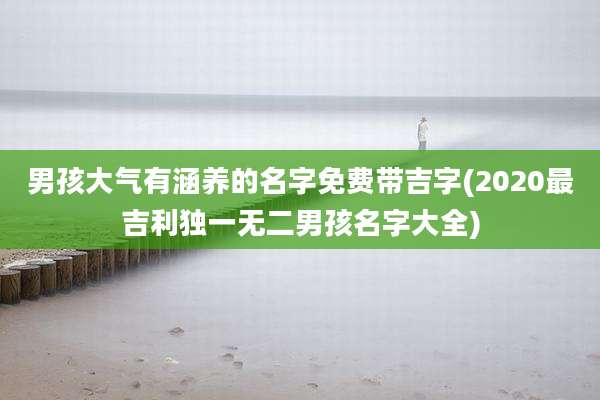 男孩大气有涵养的名字免费带吉字(2020最吉利独一无二男孩名字大全)
