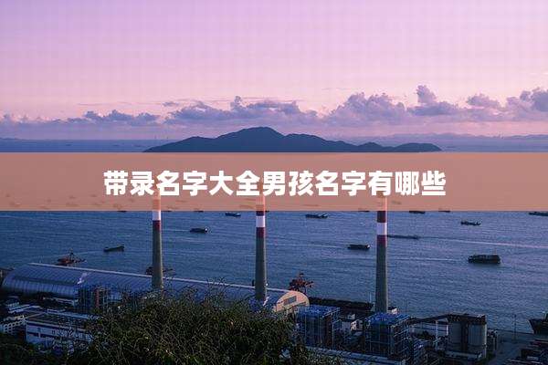 带录名字大全男孩名字有哪些