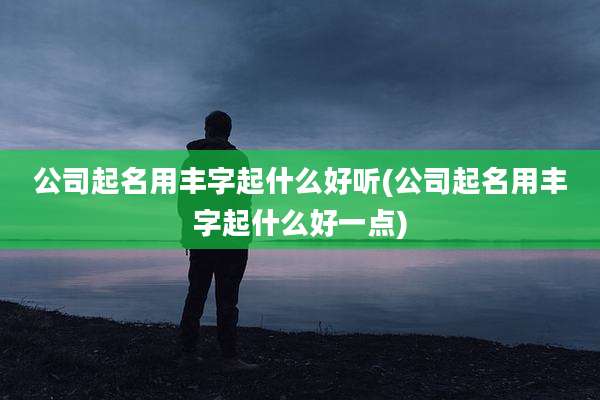 公司起名用丰字起什么好听(公司起名用丰字起什么好一点)