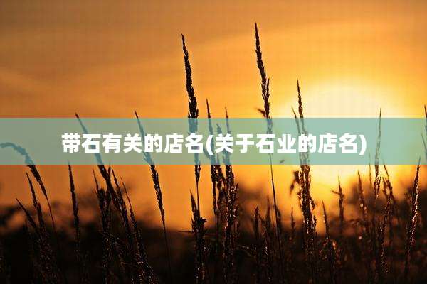 带石有关的店名(关于石业的店名)