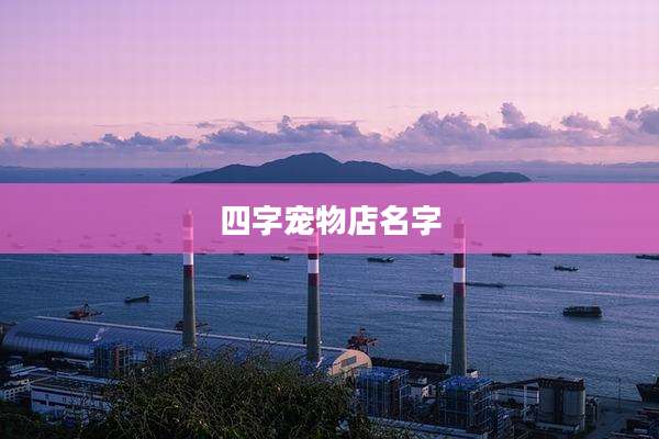 四字宠物店名字