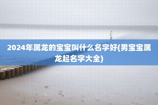 2024年属龙的宝宝叫什么名字好(男宝宝属龙起名字大全)