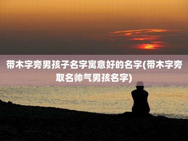 带木字旁男孩子名字寓意好的名字(带木字旁取名帅气男孩名字)