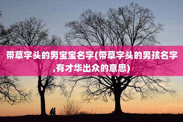 带草字头的男宝宝名字(带草字头的男孩名字,有才华出众的意思)
