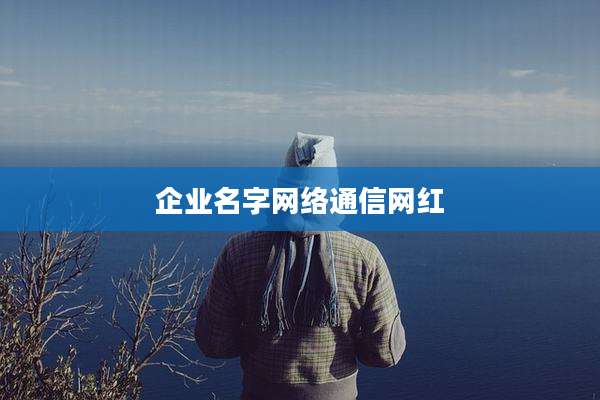 企业名字网络通信网红