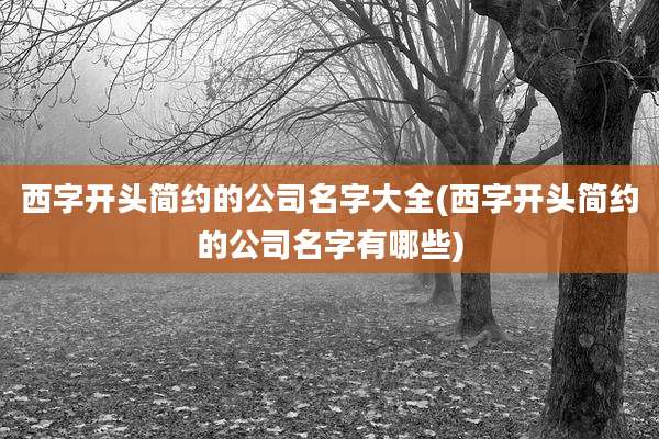 西字开头简约的公司名字大全(西字开头简约的公司名字有哪些)