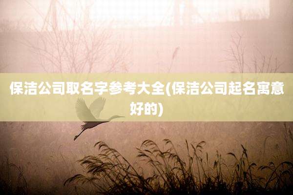 保洁公司取名字参考大全(保洁公司起名寓意好的)