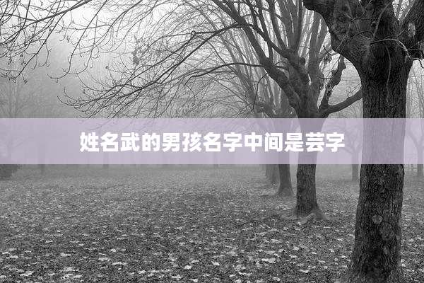 姓名武的男孩名字中间是芸字