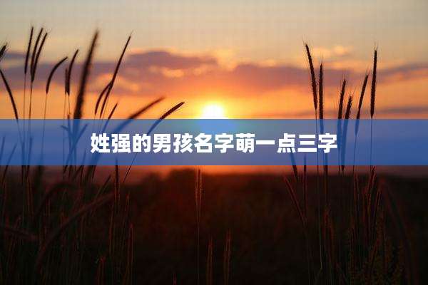 姓强的男孩名字萌一点三字