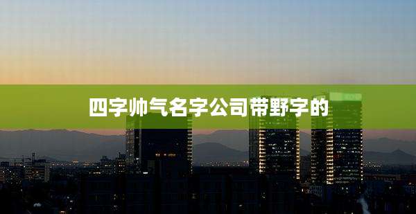 四字帅气名字公司带野字的