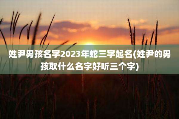姓尹男孩名字2023年蛇三字起名(姓尹的男孩取什么名字好听三个字)