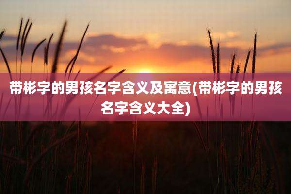 带彬字的男孩名字含义及寓意(带彬字的男孩名字含义大全)