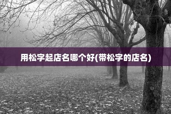 用松字起店名哪个好(带松字的店名)