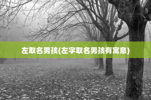 左取名男孩(左字取名男孩有寓意)