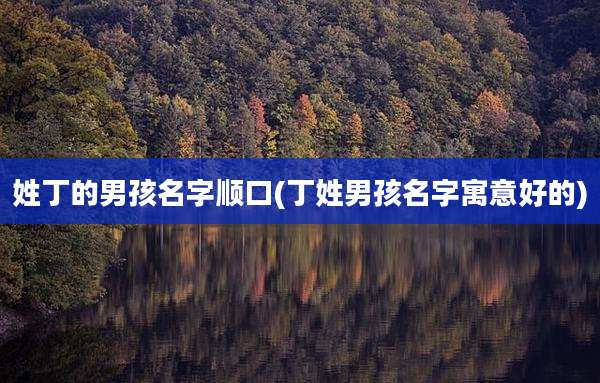 姓丁的男孩名字顺口(丁姓男孩名字寓意好的)