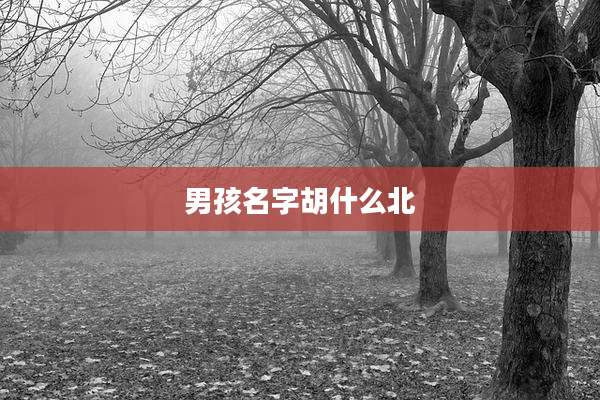 男孩名字胡什么北