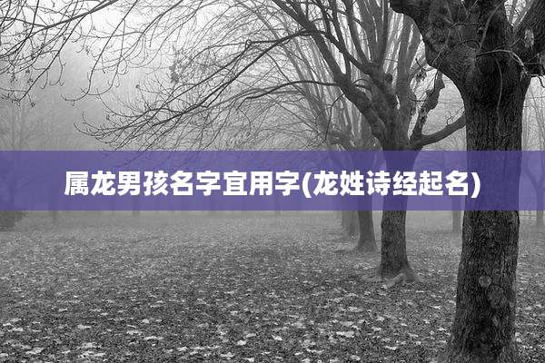 属龙男孩名字宜用字(龙姓诗经起名)