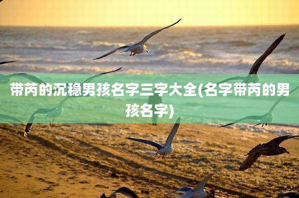 带芮的沉稳男孩名字三字大全(名字带芮的男孩名字)
