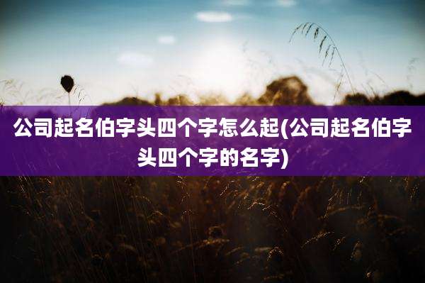 公司起名伯字头四个字怎么起(公司起名伯字头四个字的名字)