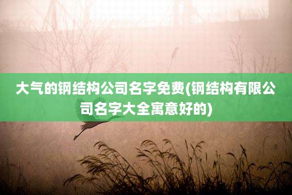 大气的钢结构公司名字免费(钢结构有限公司名字大全寓意好的)