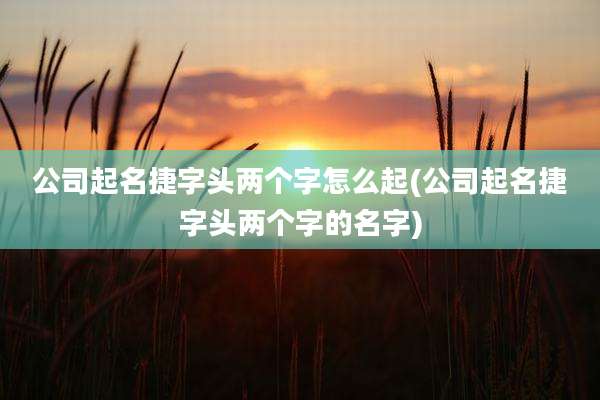 公司起名捷字头两个字怎么起(公司起名捷字头两个字的名字)