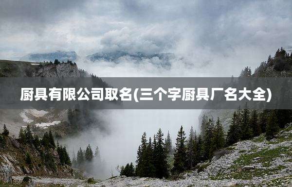 厨具有限公司取名(三个字厨具厂名大全)