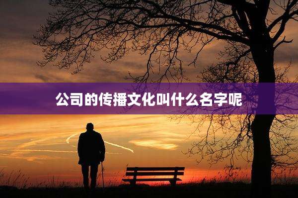 公司的传播文化叫什么名字呢