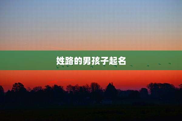 姓路的男孩子起名