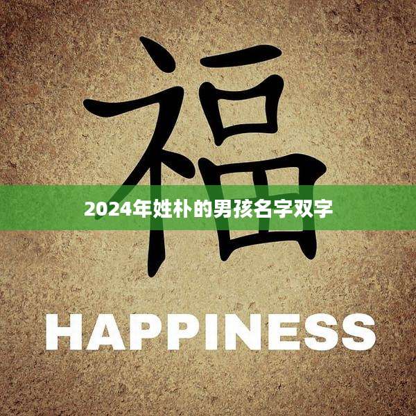 2024年姓朴的男孩名字双字