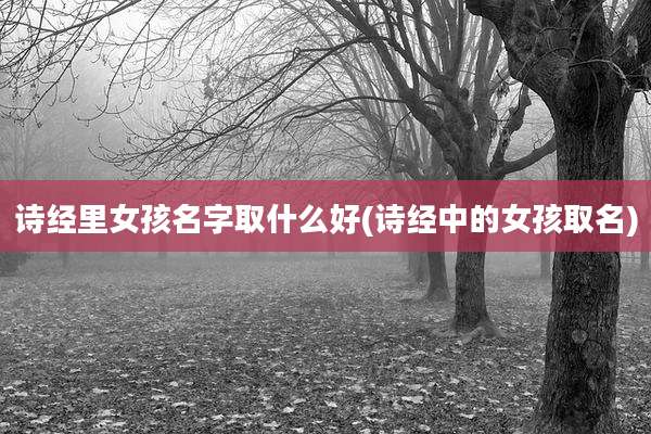 诗经里女孩名字取什么好(诗经中的女孩取名)
