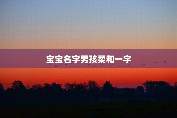 宝宝名字男孩柔和一字