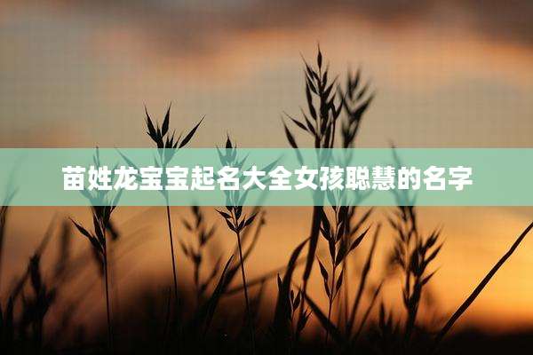 苗姓龙宝宝起名大全女孩聪慧的名字