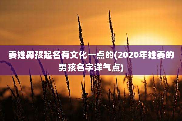 姜姓男孩起名有文化一点的(2020年姓姜的男孩名字洋气点)