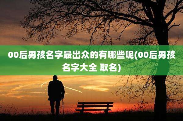 00后男孩名字最出众的有哪些呢(00后男孩名字大全 取名)