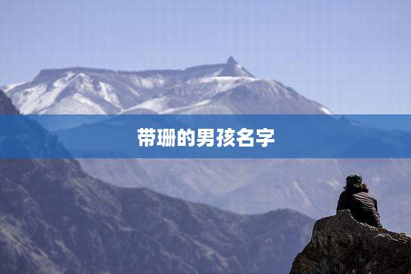 带珊的男孩名字
