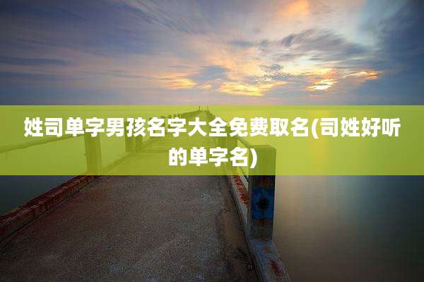 姓司单字男孩名字大全免费取名(司姓好听的单字名)