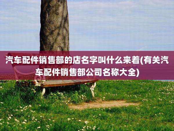 汽车配件销售部的店名字叫什么来着(有关汽车配件销售部公司名称大全)