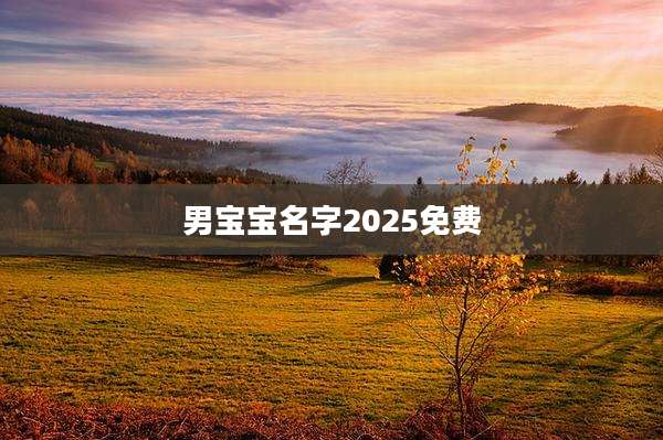 男宝宝名字2025免费