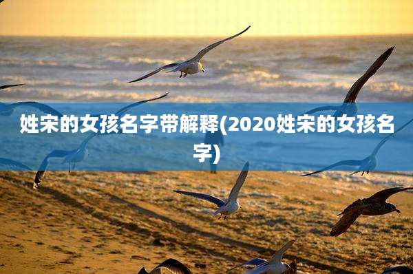 姓宋的女孩名字带解释(2020姓宋的女孩名字)