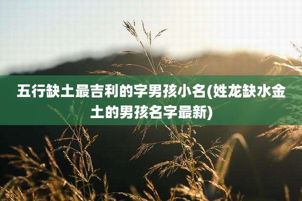 五行缺土最吉利的字男孩小名(姓龙缺水金土的男孩名字最新)